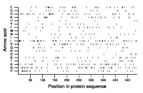 amino acid map