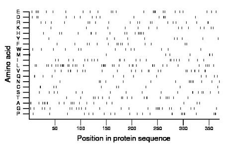 amino acid map