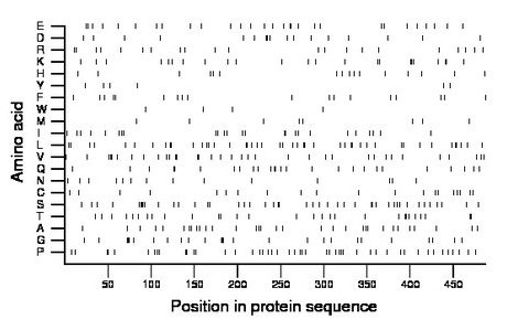 amino acid map