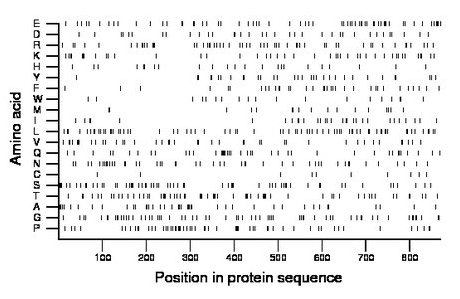 amino acid map