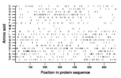 amino acid map