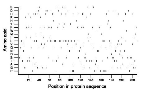 amino acid map