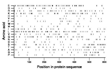 amino acid map