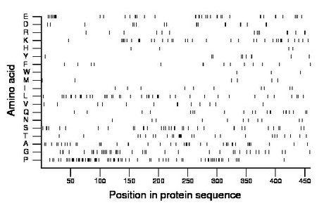 amino acid map