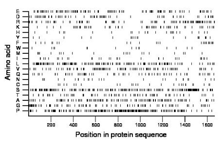 amino acid map