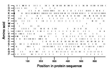 amino acid map