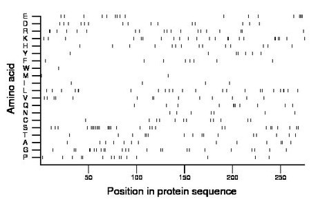 amino acid map