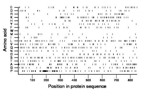 amino acid map