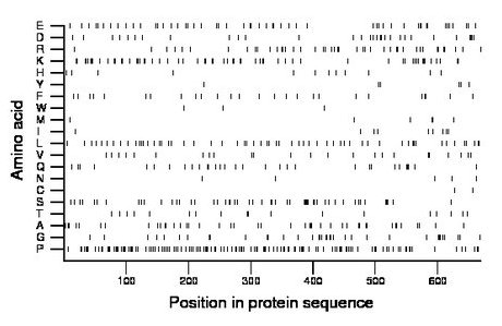 amino acid map