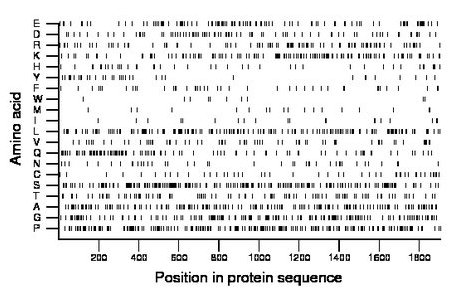 amino acid map