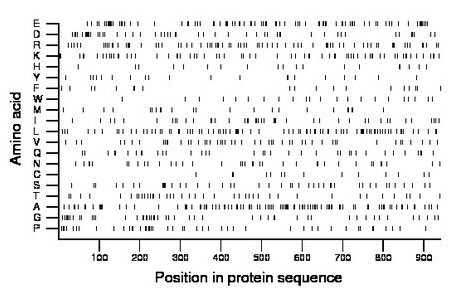 amino acid map