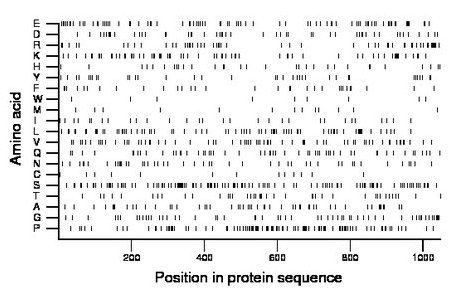 amino acid map