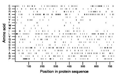 amino acid map