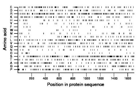 amino acid map