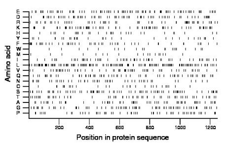 amino acid map