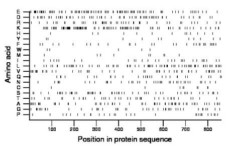 amino acid map