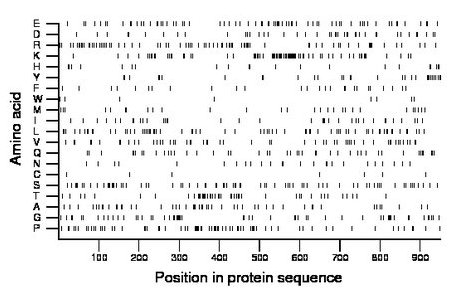 amino acid map