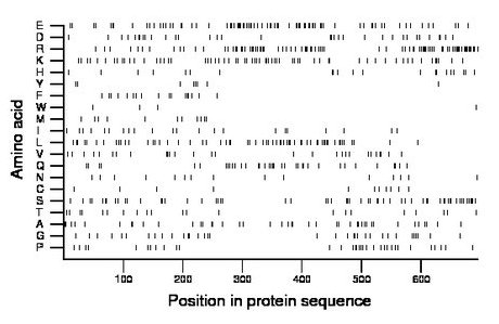 amino acid map