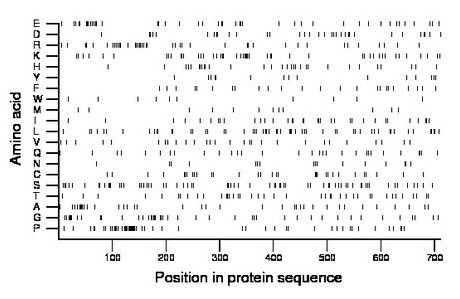 amino acid map