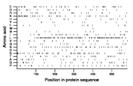 amino acid map