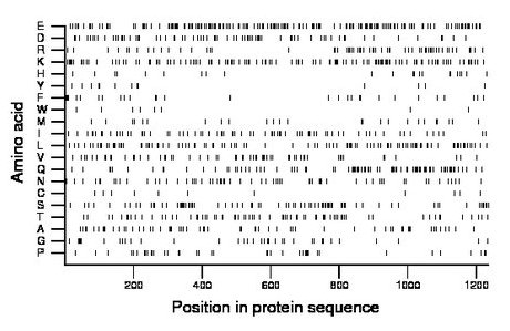 amino acid map