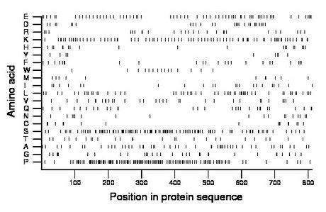 amino acid map