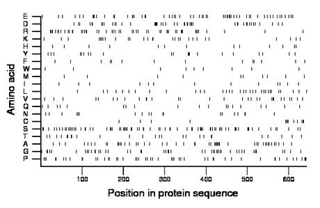 amino acid map