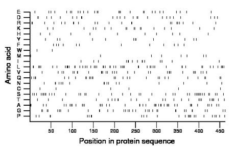 amino acid map