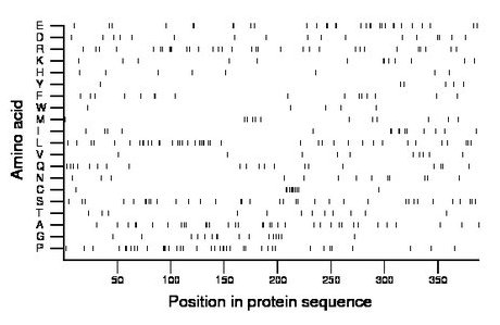 amino acid map