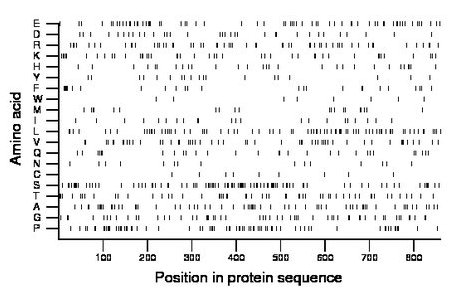 amino acid map