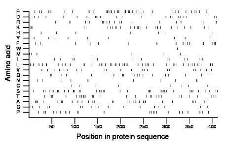 amino acid map