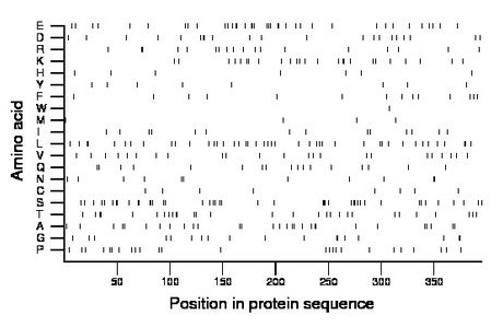 amino acid map