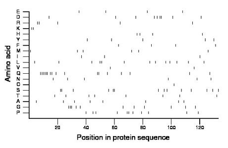 amino acid map