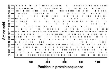 amino acid map