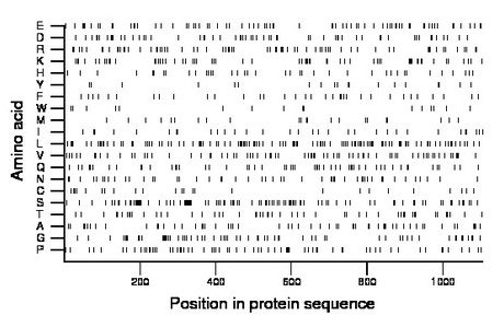 amino acid map