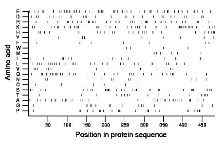 amino acid map