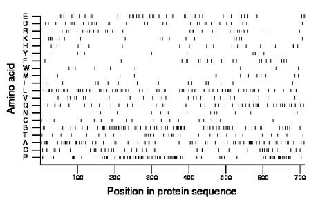 amino acid map