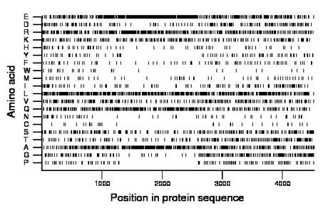 amino acid map