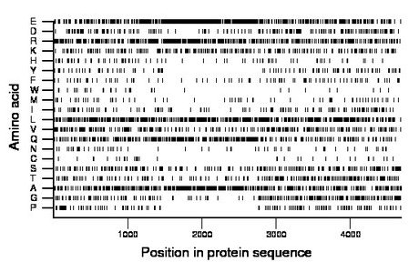 amino acid map