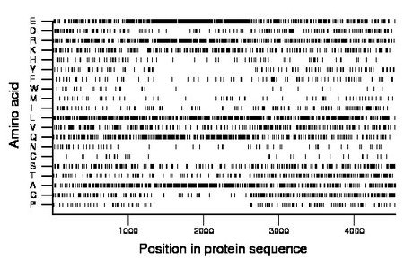 amino acid map