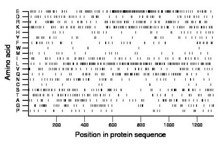 amino acid map