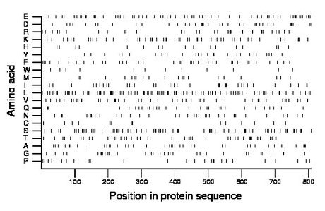 amino acid map