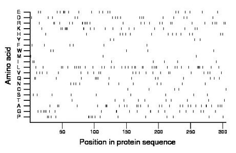 amino acid map