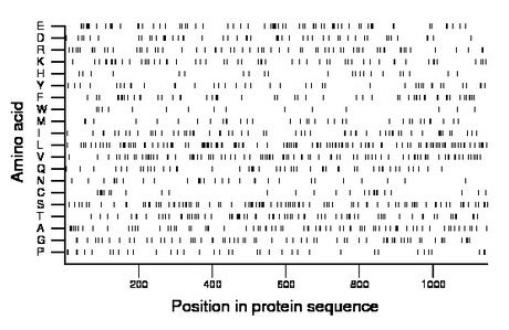 amino acid map