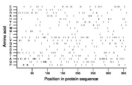 amino acid map