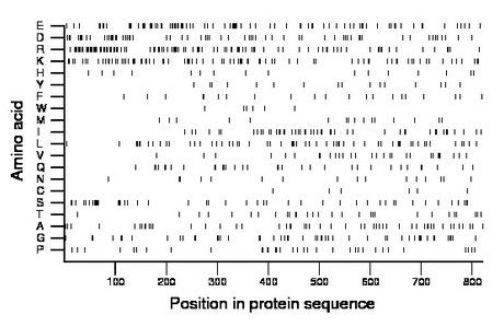 amino acid map