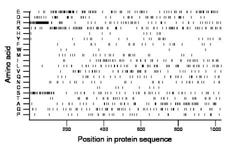 amino acid map