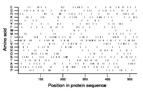 amino acid map