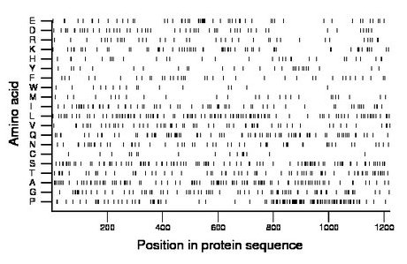 amino acid map