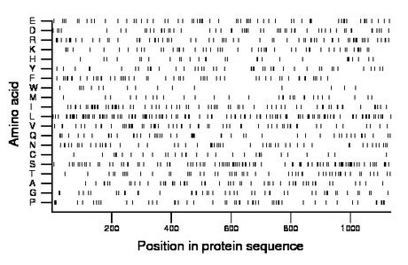 amino acid map